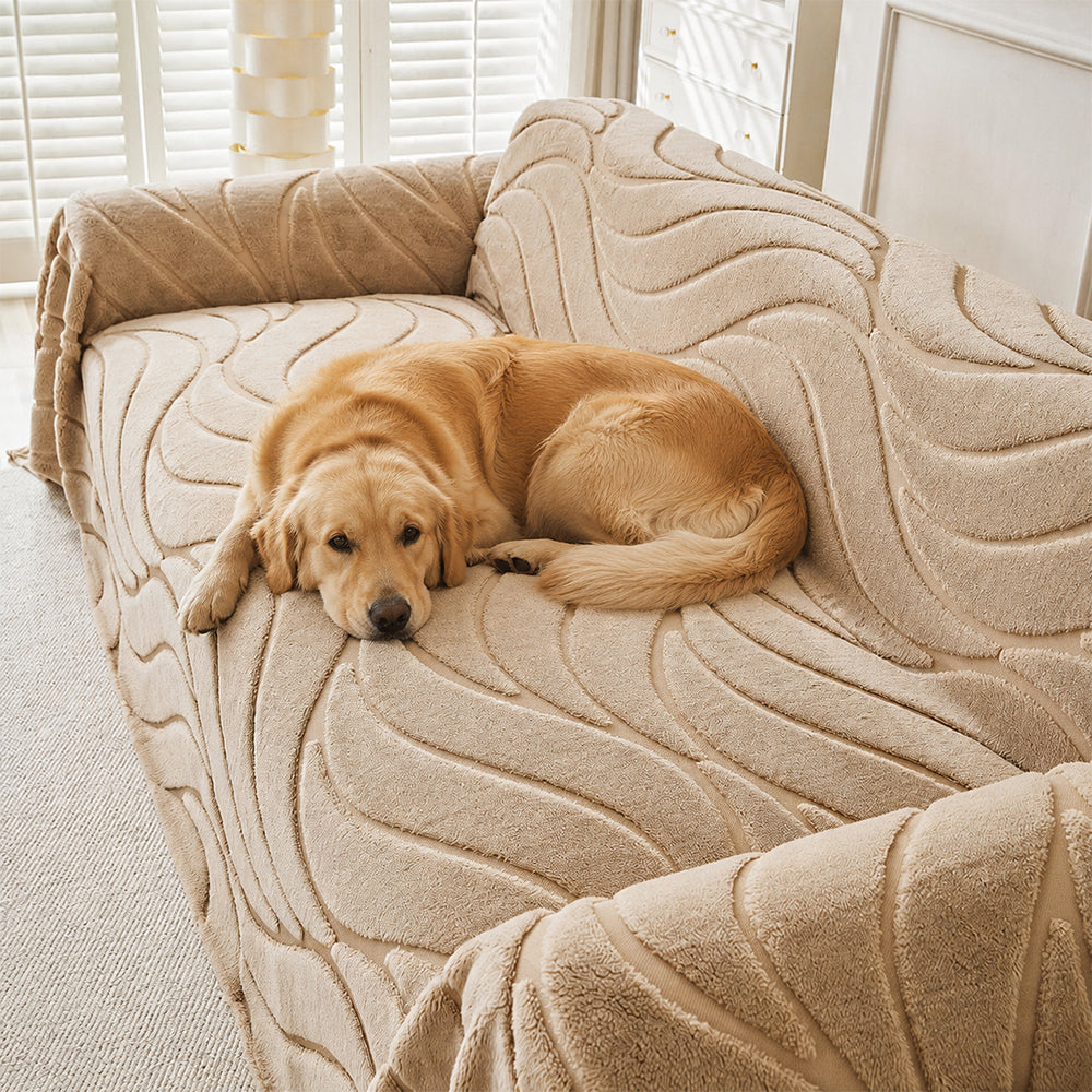Sofa Cover | Soft Plush Texture, Machine Washable 2