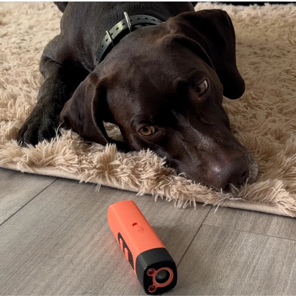 Ultrasonic Dog Bark Control Device | Handheld, Rechargeable Anti Bark Device 1