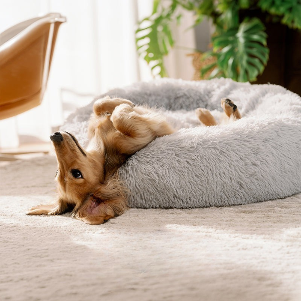Plush Pet Bed with Deep Sleep Cushion Design