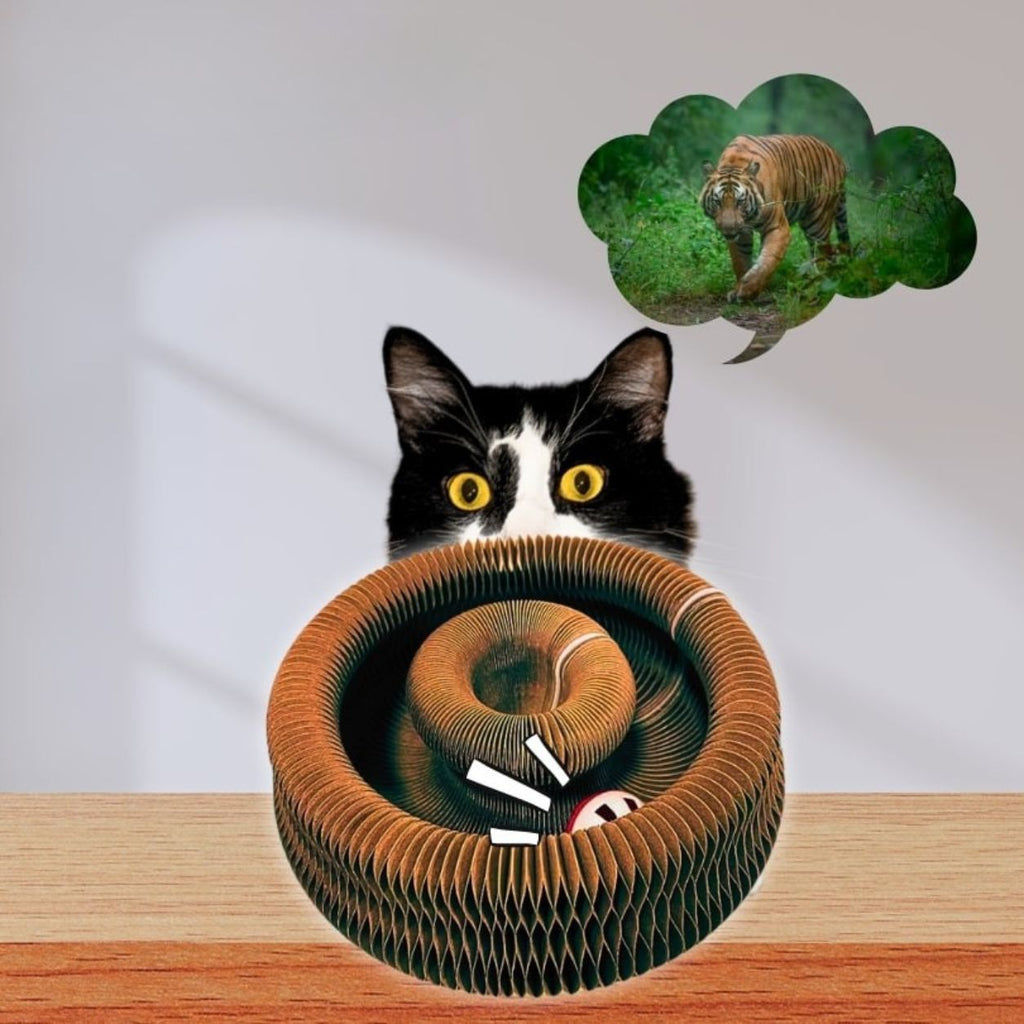 Interactive Cat Toy | Curled Shape, Lightweight Design