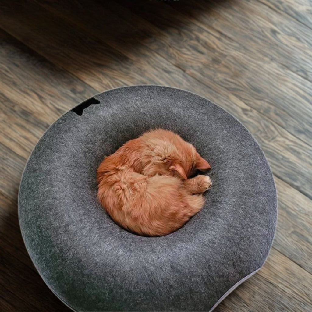 Enclosed Plush Cat Bed with Private Resting Space