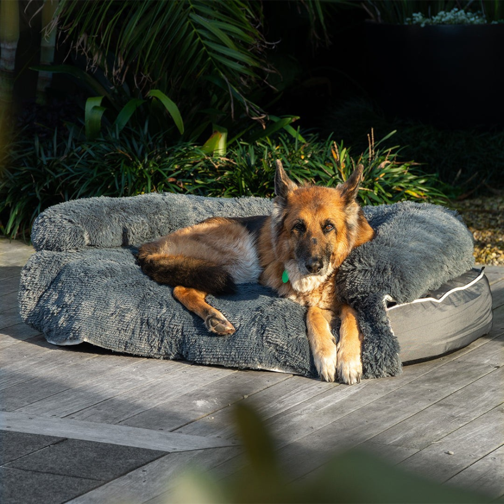 Dog Bed Chew-Resistant Base, Cooling 2-in-1 Lounger
