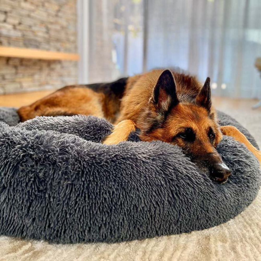 Plush Pet Bed with Deep Sleep Cushion Design