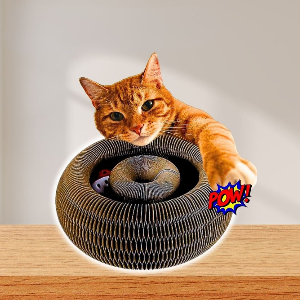 Interactive Cat Toy | Curled Shape, Lightweight Design