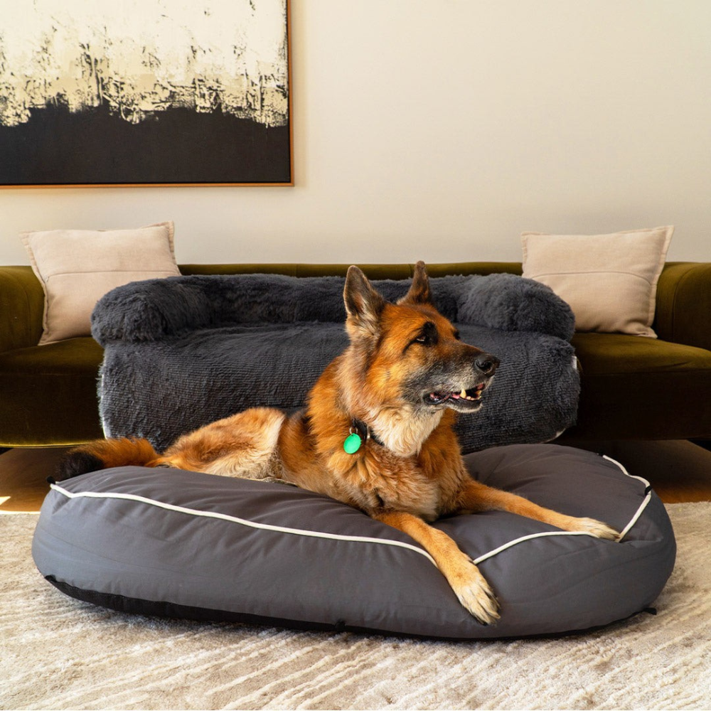 Dog Bed Chew-Resistant Base, Cooling 2-in-1 Lounger