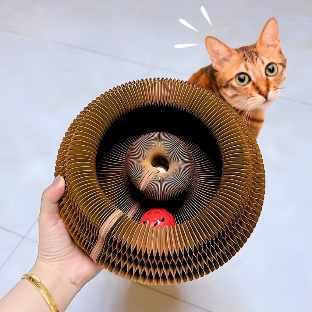 Interactive Cat Toy | Curled Shape, Lightweight Design