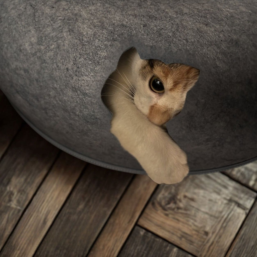 Enclosed Plush Cat Bed with Private Resting Space