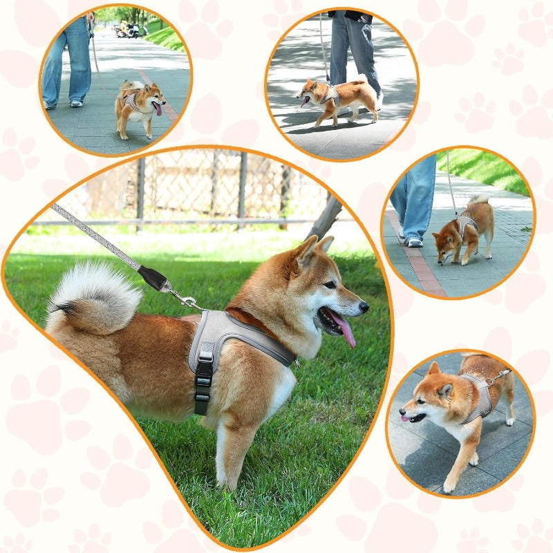 YoPoll Breathable Reflective Dog Harness for Small Dogs - Adjustable Fit & Comfortable Design 5