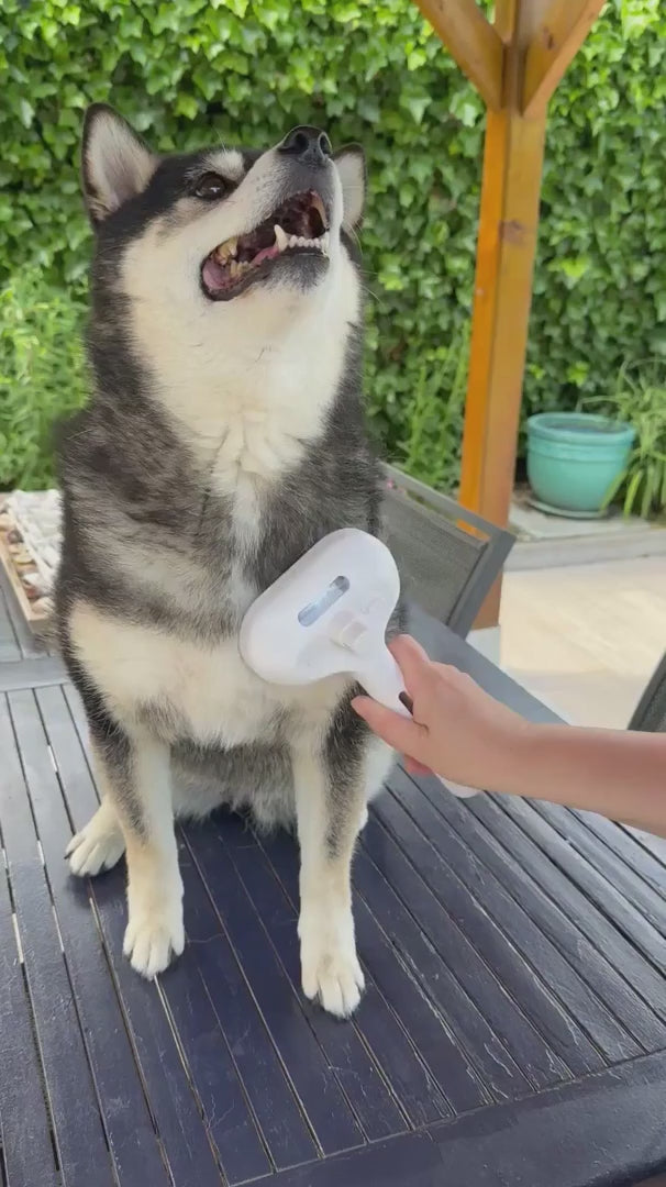 Pet Grooming Brush - Cool Mist, Soft Rubber-Coated Bristles